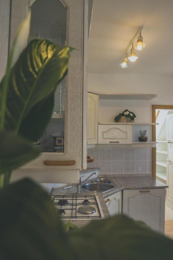 Apartment Amak With Free Onsite Parking Bovec Exterior foto